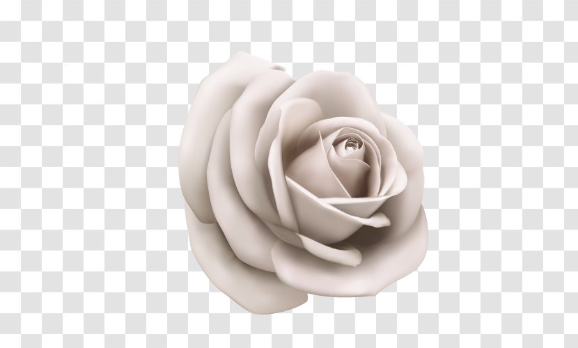 Paper Illustration - Rose Family - Vector White Transparent PNG