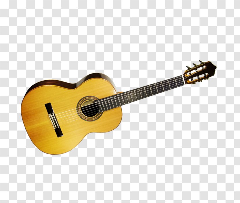 Acoustic Guitar Ukulele Bass Amplifier Acoustic-electric - Heart Transparent PNG