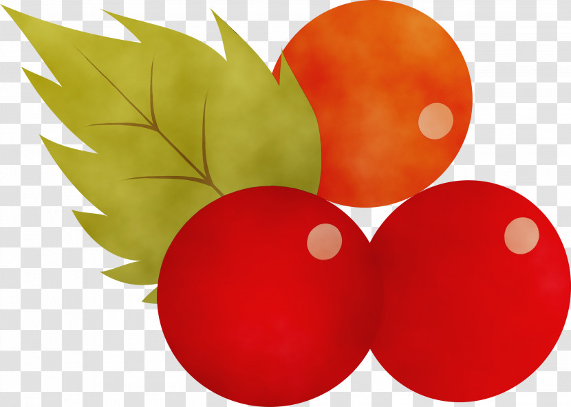 Vegetable Apple Transparent PNG