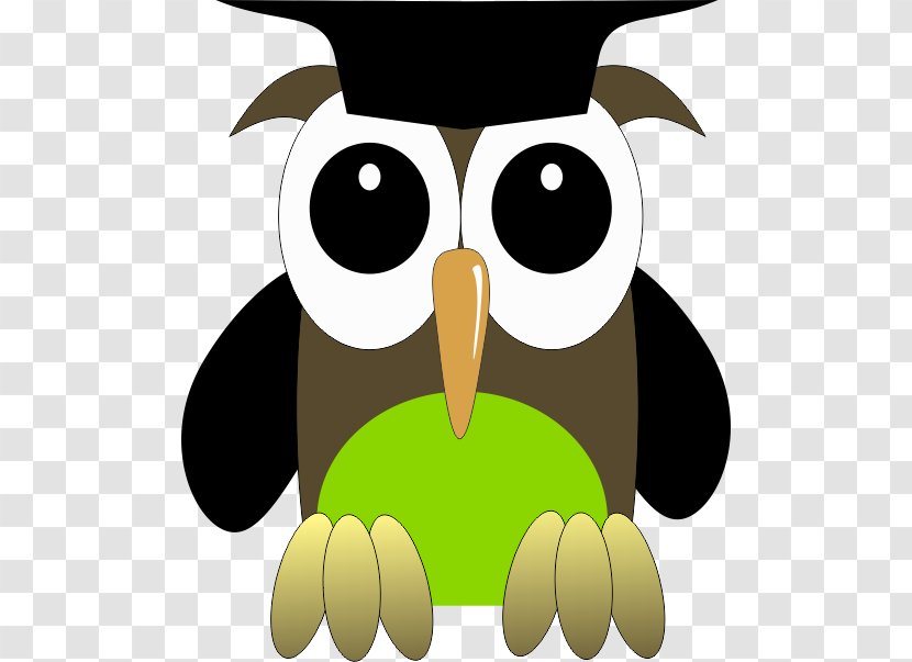 Owl Beak Voluntary Association Character Clip Art - Bird Of Prey - Sowa Transparent PNG
