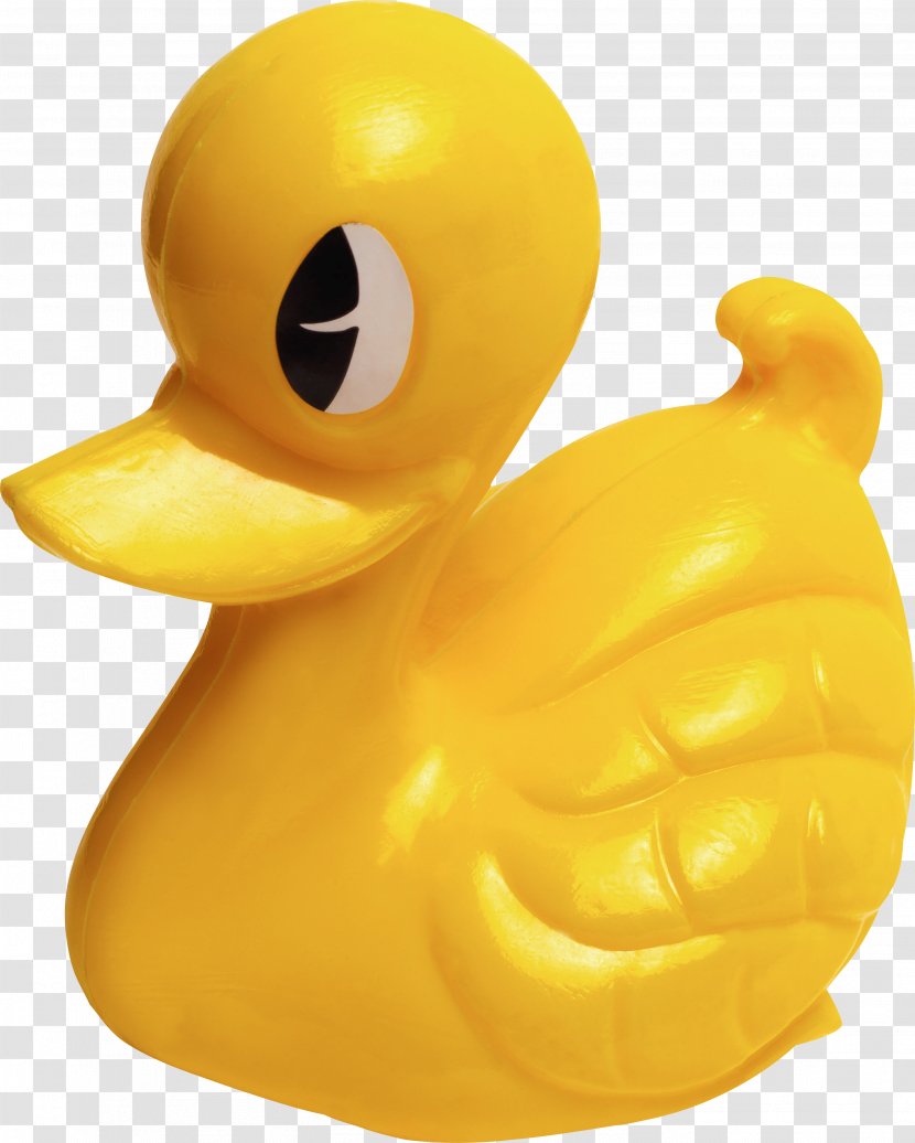 Duck Toy Domestic Goose - Ultraviolet Transparent PNG