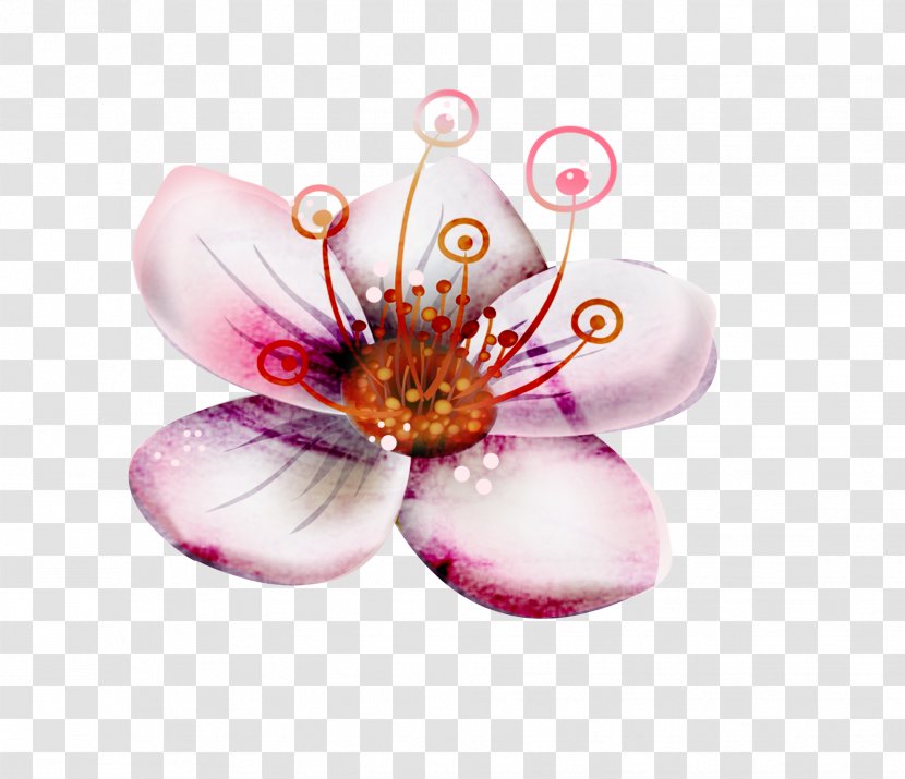 Flower Petal - Magenta - Pink Flowers Transparent PNG