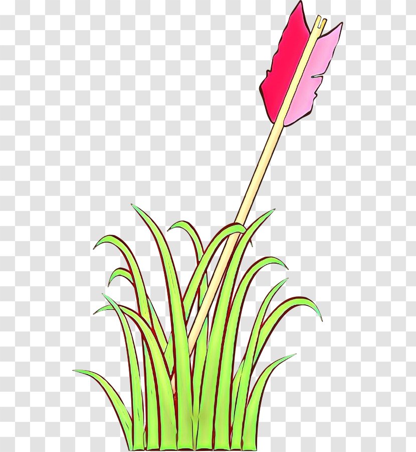 Plant Clip Art Flower Grass Family - Cartoon Transparent PNG