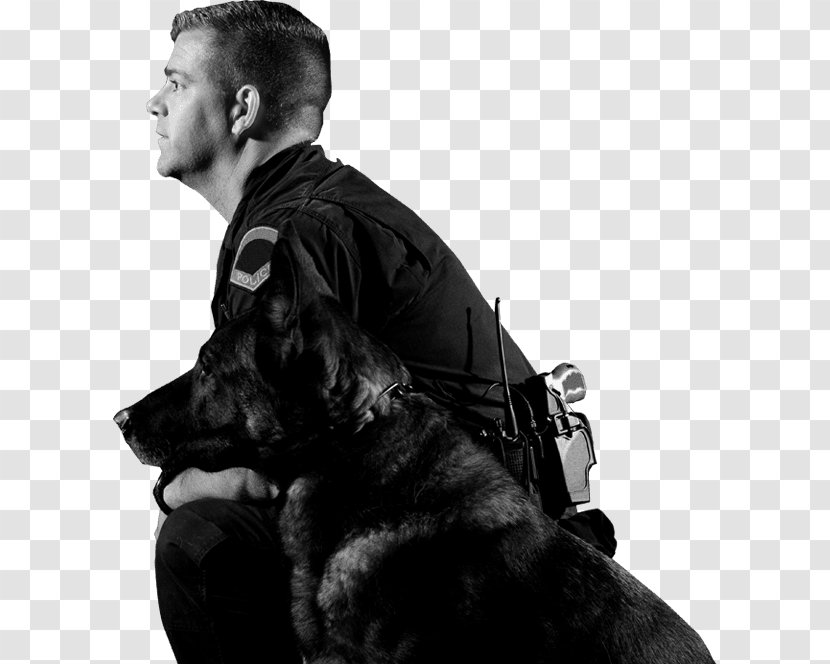 German Shepherd Police Dog Officer Royalty-free - T Shirt Transparent PNG