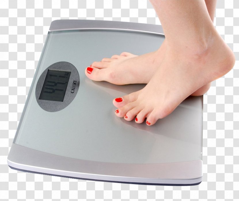 Measuring Scales Clip Art Image Transparency - Instrument - Scale Weighing Transparent PNG