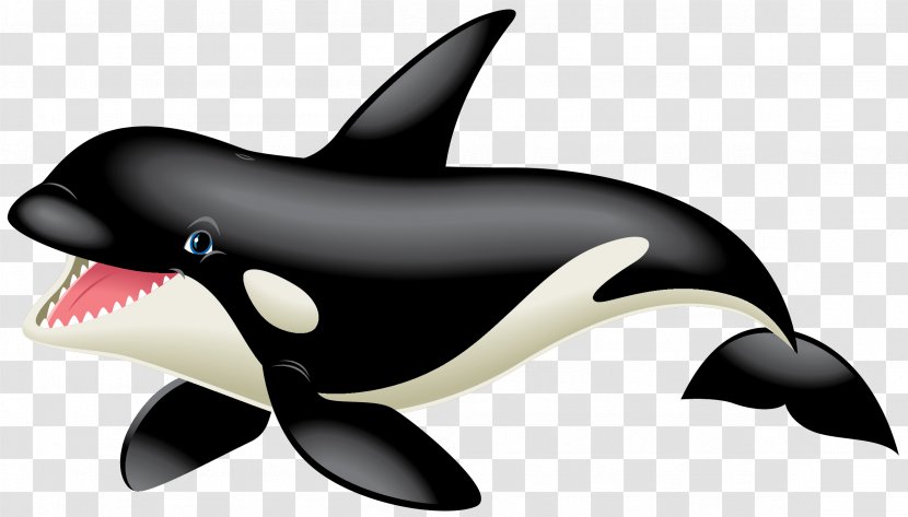 Killer Whale White-beaked Dolphin Marine Biology - Mammal Transparent PNG