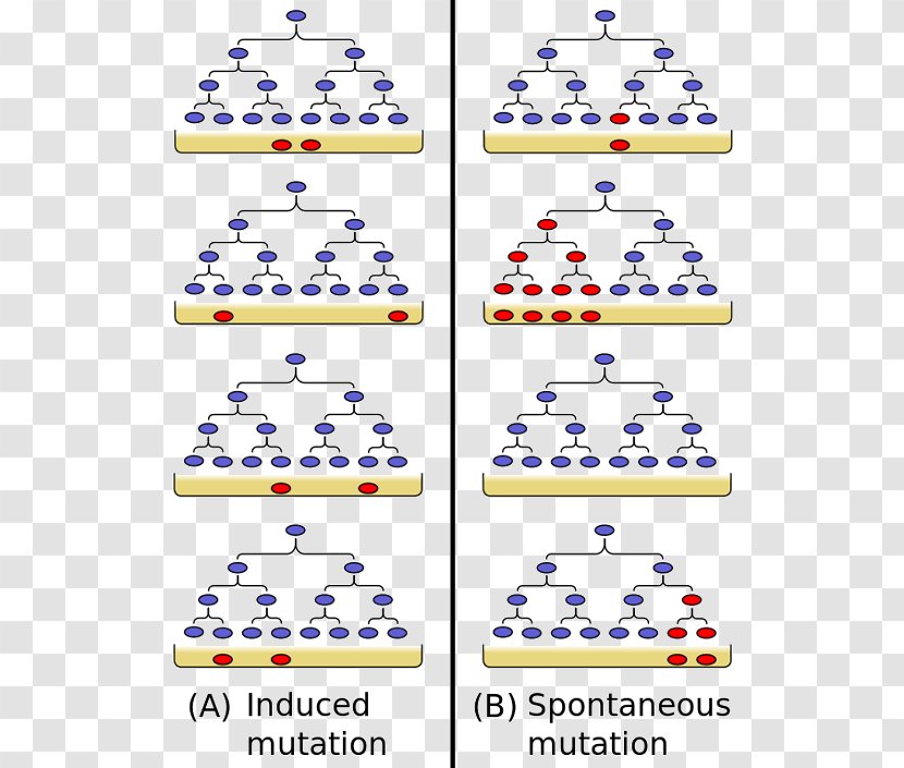 Luria–Delbrück Experiment Mutation Biology Science - Area Transparent PNG