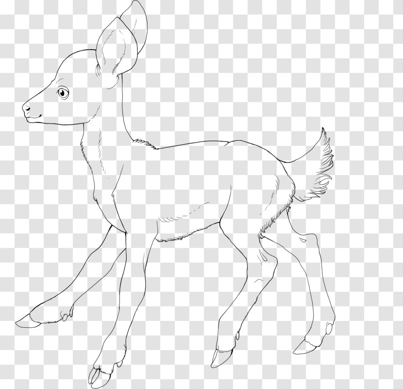 Reindeer Antelope Line Art Pack Animal White Transparent PNG