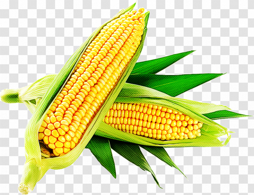 Sweet Corn Corn On The Cob Corn Flour Corn Kernel Vegetable Transparent PNG