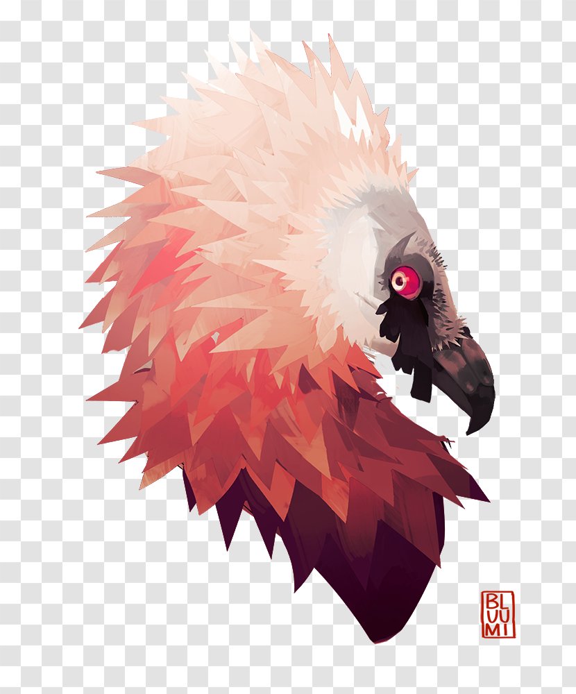 Bird Bearded Vulture Artist - Drawing Hair Transparent PNG