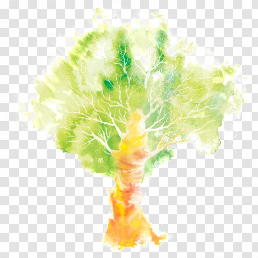 Graphic Design Watercolor Painting Illustration - Tree Transparent PNG