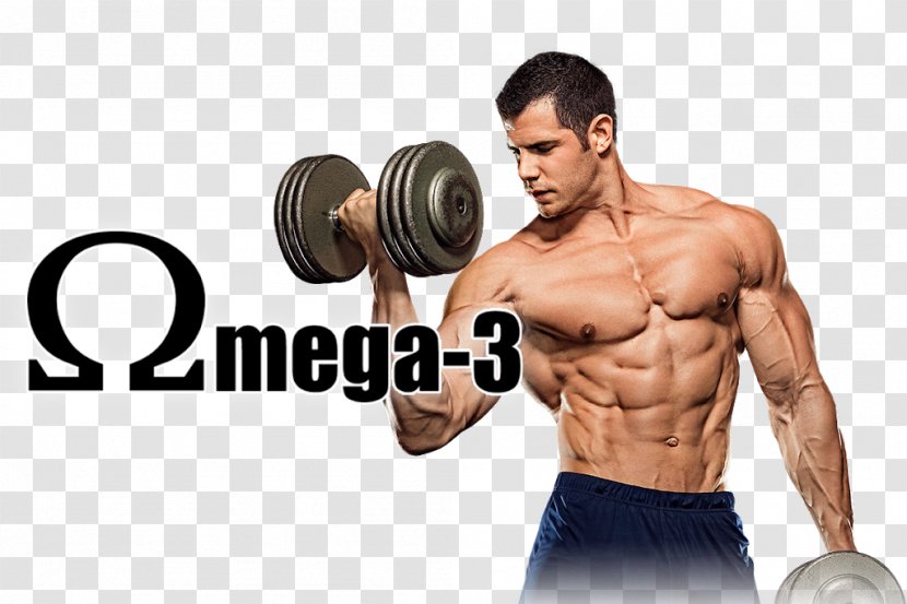 Bodybuilding For Beginners Weight Training Physical Fitness - Frame Transparent PNG