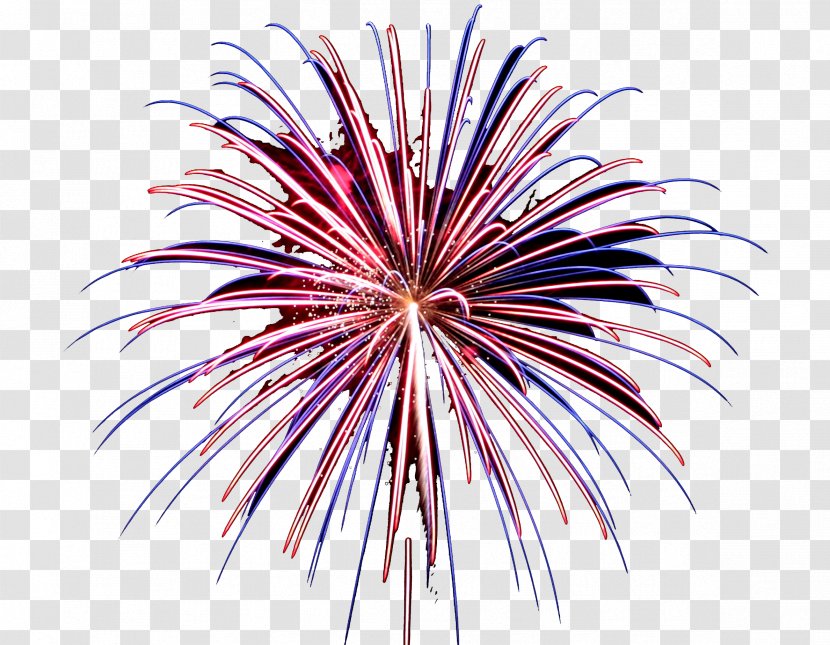 Fireworks Pink Line Event Holiday - Sparkler - Festival Transparent PNG