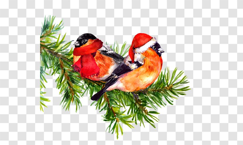 Bird Watercolor Painting Drawing Tree Transparent PNG