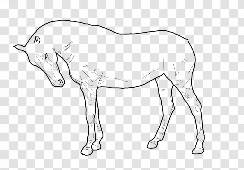 Mule Standing Horse Line Art Pony - Artwork - Drawing Animals Transparent PNG