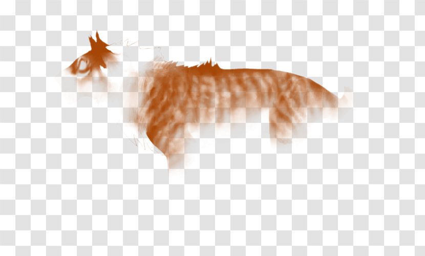 Whiskers Lion Cat Hunger Mammal - Small To Medium Sized Cats Transparent PNG