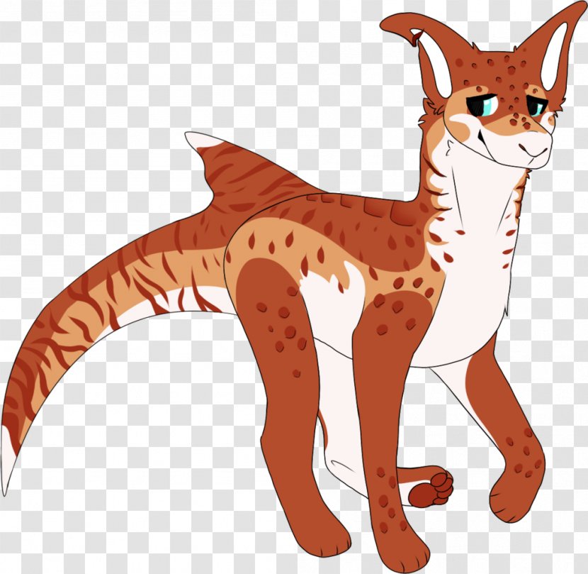 Whiskers Cat Red Fox Cougar Mammal - Tiger Shark Transparent PNG