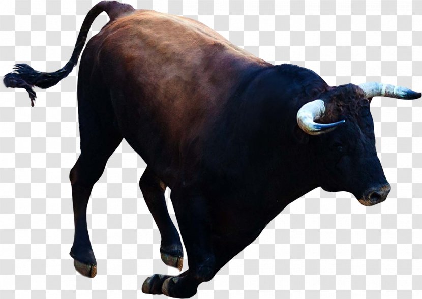 Bull Taurine Cattle Ox Clip Art - Horn Transparent PNG
