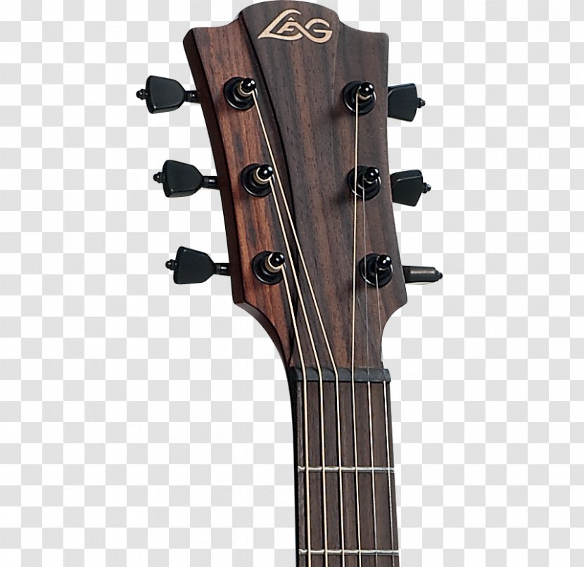 Bass Guitar Acoustic Acoustic-electric - Tree Transparent PNG