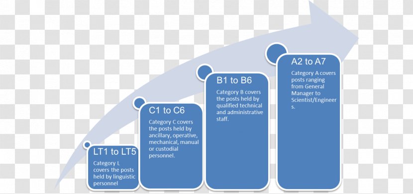 Salary Pay Grade School Organization Grading In Education - Learning Transparent PNG