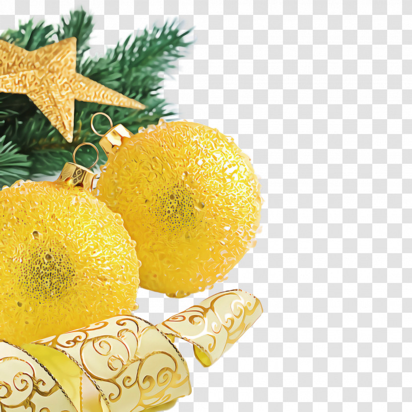 Yellow Fruit Citrus Plant Food Transparent PNG