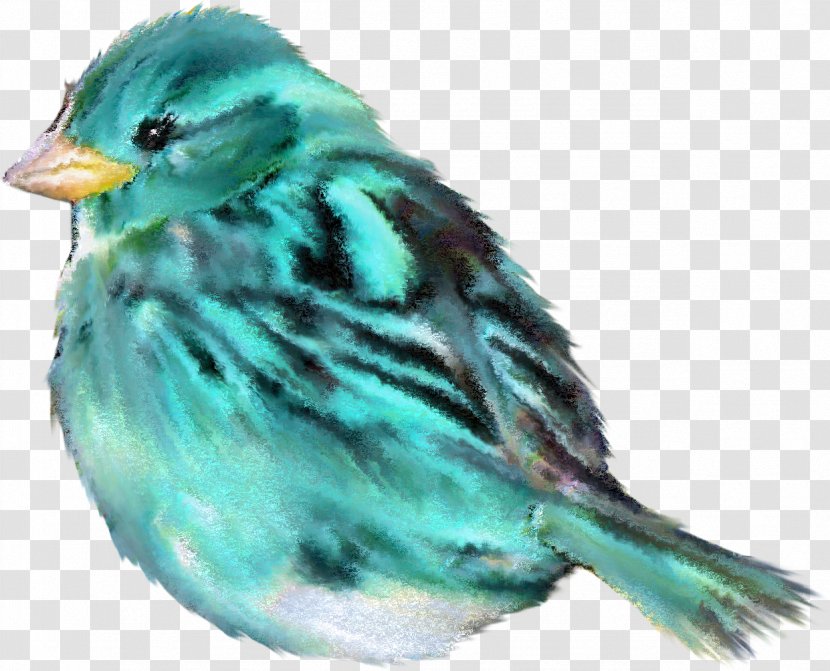 Bird Sparrow Clip Art - Songbird - Birds Transparent PNG
