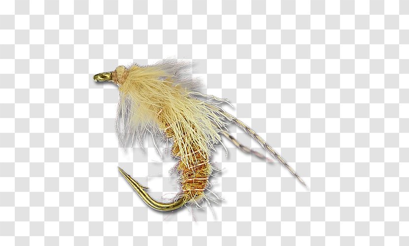 Caddisfly The Fly Shop Feather Twisto - Flying Nymph Transparent PNG