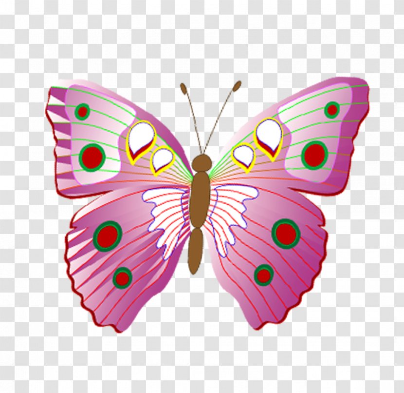 Drawing Icon - Brush Footed Butterfly - Pieces Of Red Transparent PNG