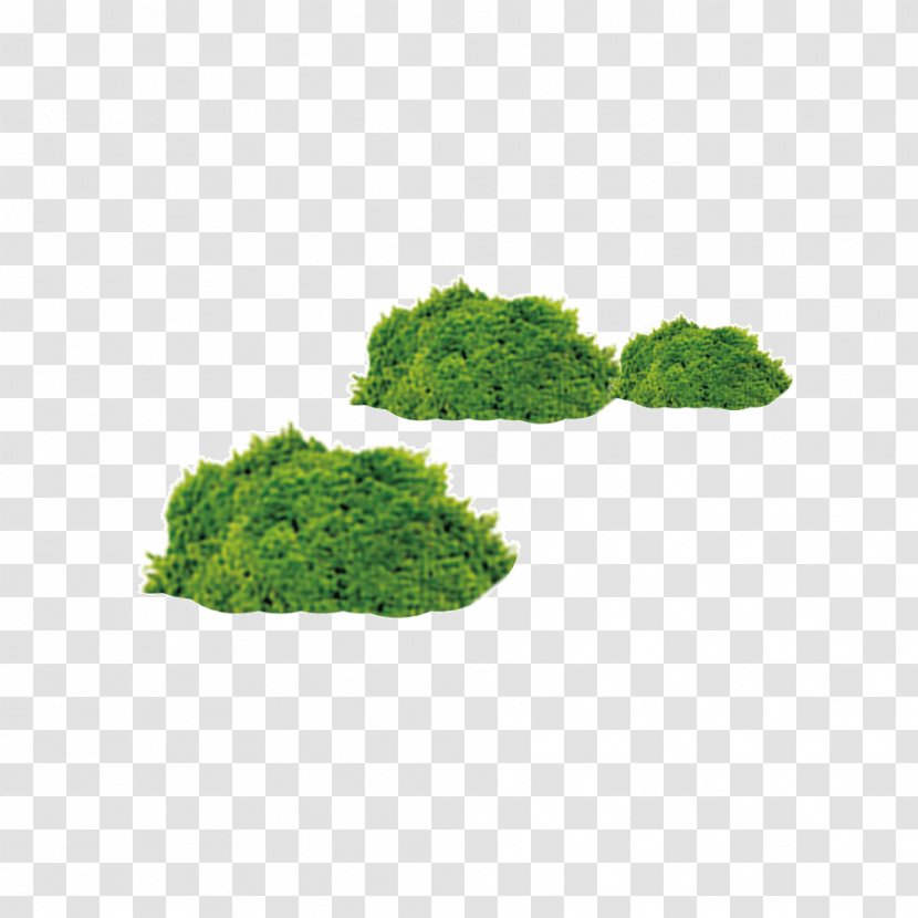 Shrub Download Icon - Animation - Bush Material Transparent PNG