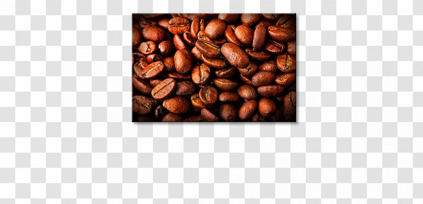 Jamaican Blue Mountain Coffee Brown Commodity - Nut - Poster Transparent PNG
