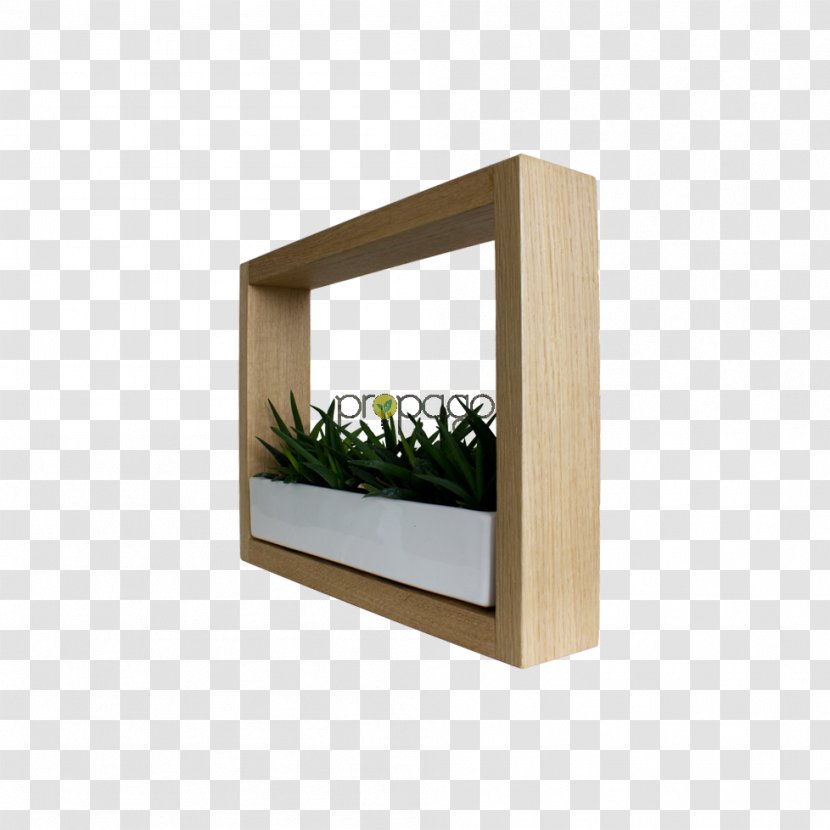 Shelf Furniture Rectangle - Flower Box Transparent PNG