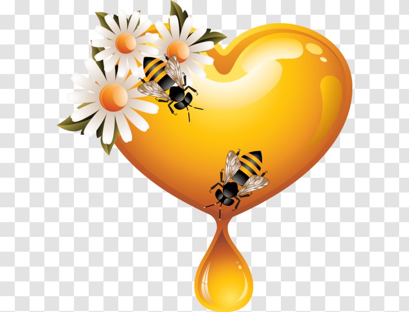 Western Honey Bee Heart Clip Art - Honeycomb Transparent PNG