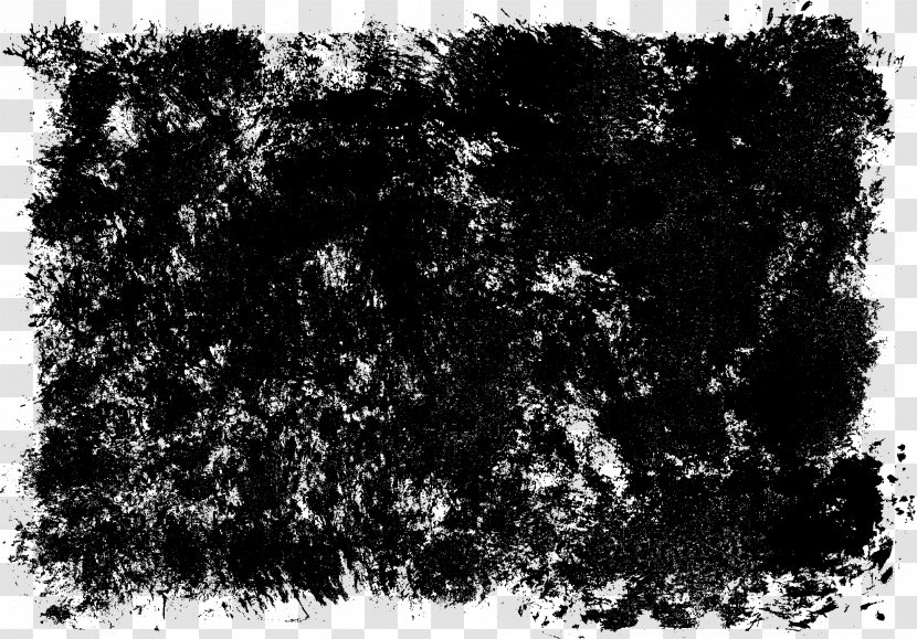 Grunge Photography Black And White Texture - Frame Transparent PNG