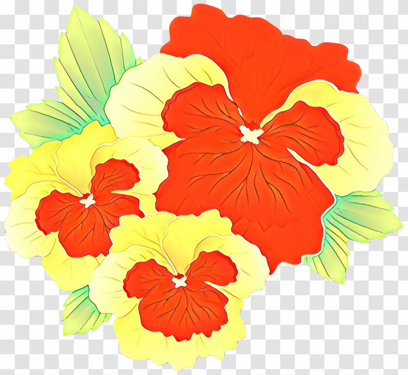 Hawaiian Hibiscus Flower Hibiscus Plant Petal Transparent PNG