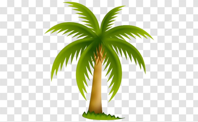 Arecaceae Tree California Palm Clip Art - Mexican Fan Transparent PNG