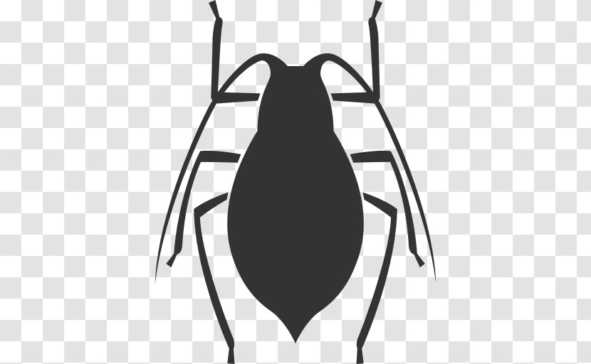 Désinfection - Invertebrate - DésinsectisationDératisation En France Cockroach Pest Software BugInsect Transparent PNG