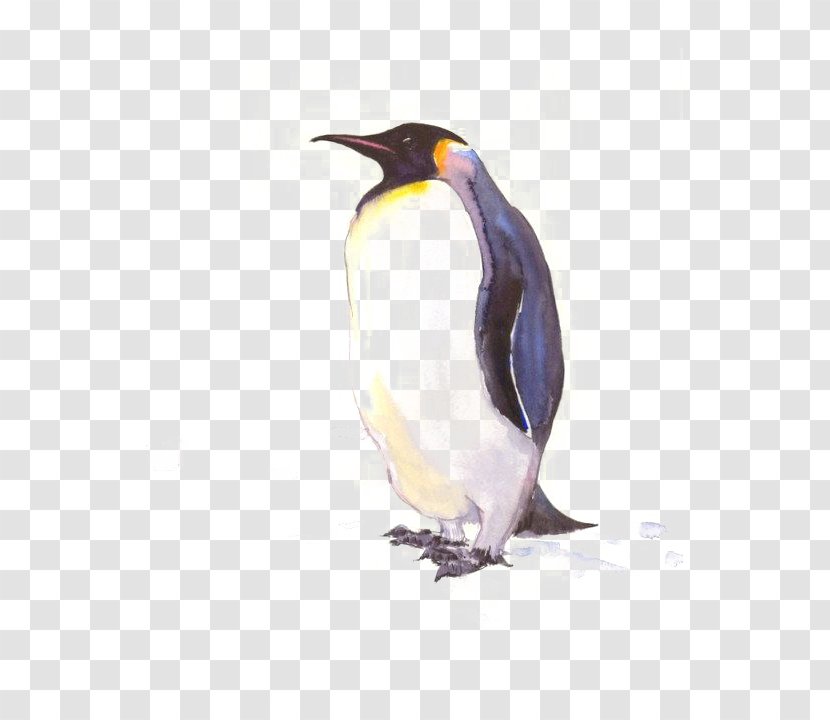 King Penguin Antarctic Drawing Poster - Watercolor Painting Transparent PNG