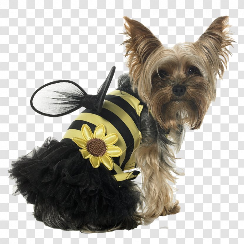 Papillon Dog Puppy Bee Cat Costume - Halloween - Cute Clothes Transparent PNG