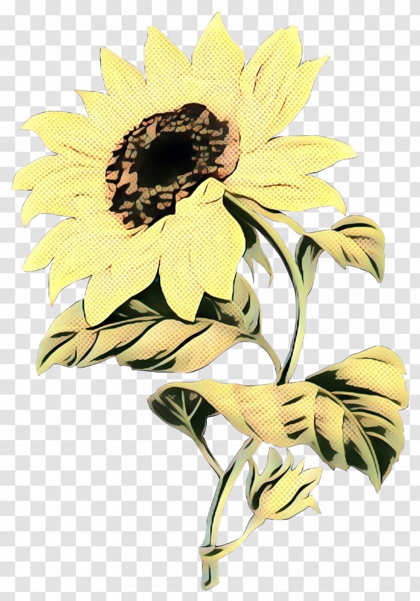 Clip Art Common Sunflower Image - Petal - Honeybee Transparent PNG