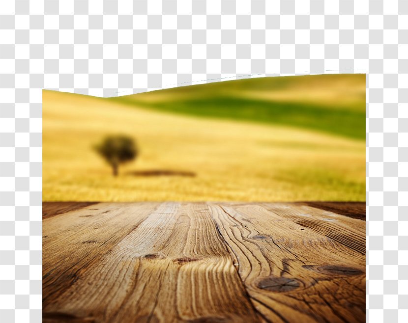 Stock Photography Royalty-free Nature Wallpaper - Field - Wood And Distant Landscape Transparent PNG