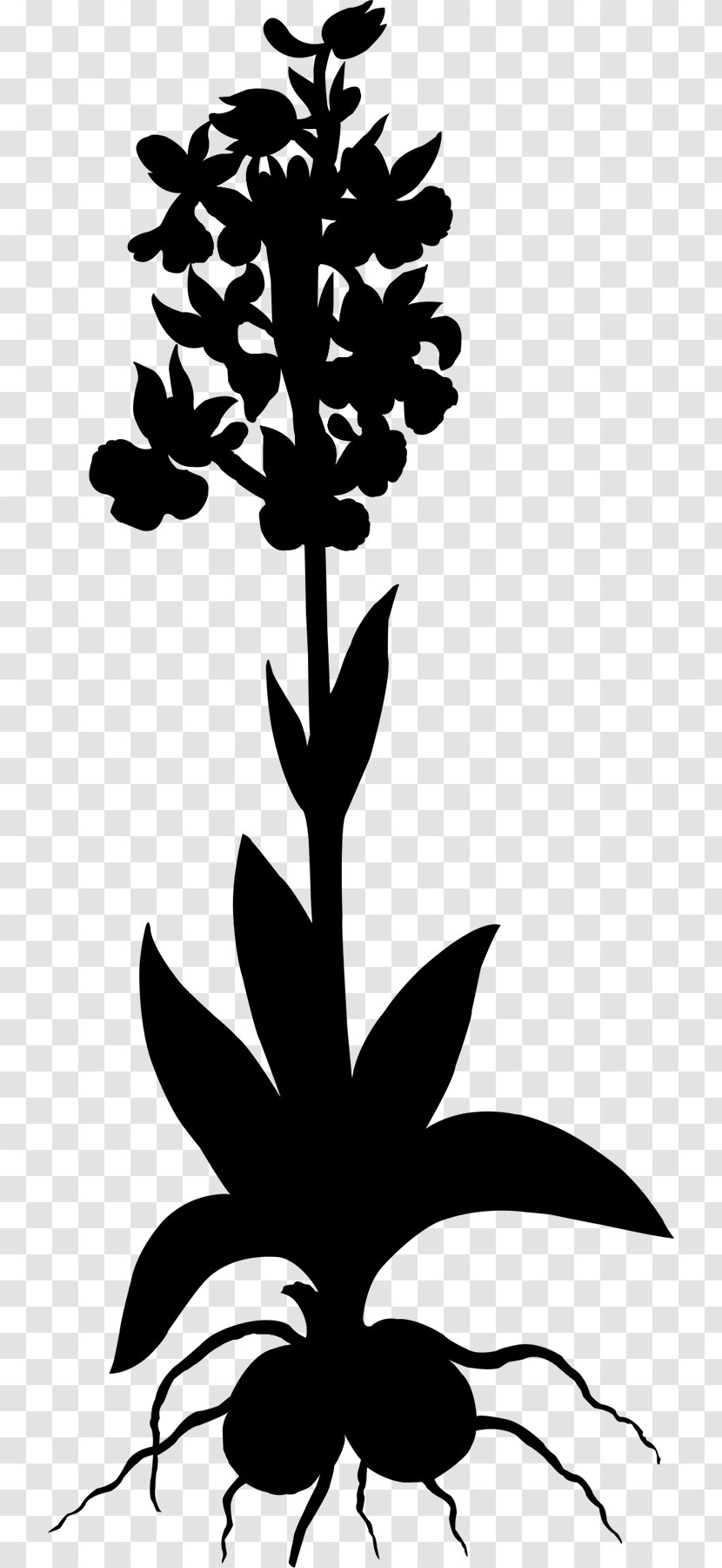 Leaf Floral Design Clip Art Plant Stem - Silhouette - Plants Transparent PNG