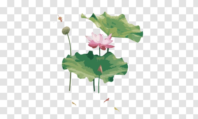 Nelumbo Nucifera Download - Plant Stem - Pond In Lotus And Small Fish Transparent PNG