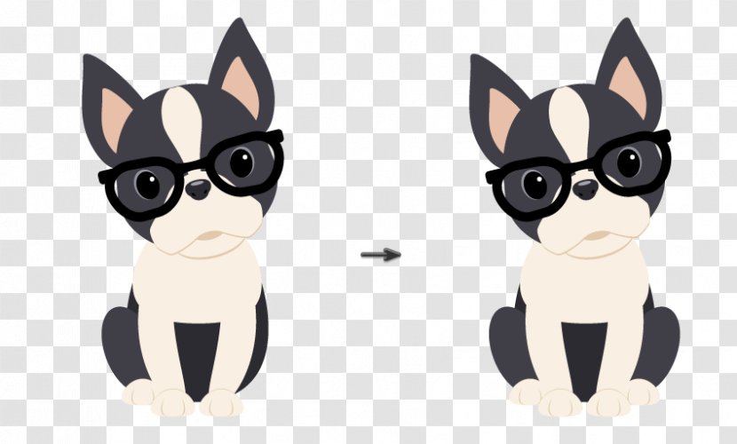 Boston Terrier Yorkshire Bulldog Whiskers - Canidae - Small To Mediumsized Cats Transparent PNG