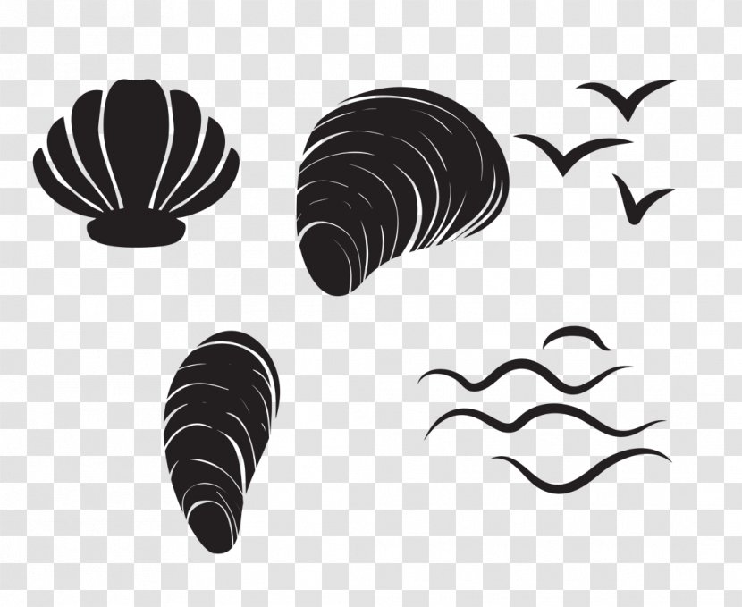 Seashell Marine - Monochrome - Conch Shells And Animals Transparent PNG