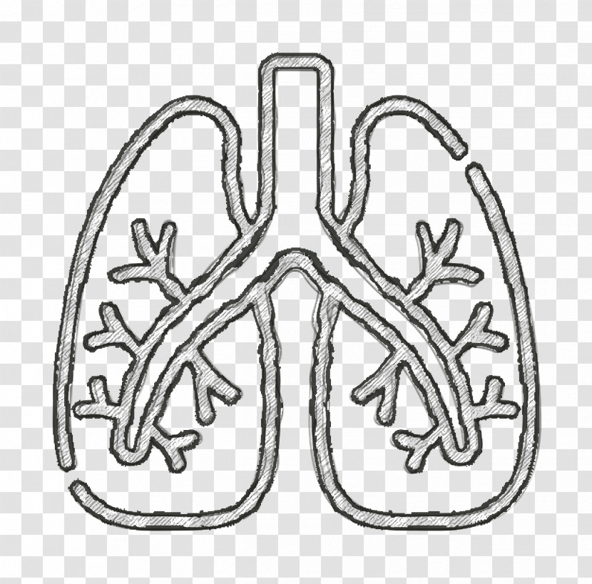 Lungs Icon Medicine Icon Lung Icon Transparent PNG