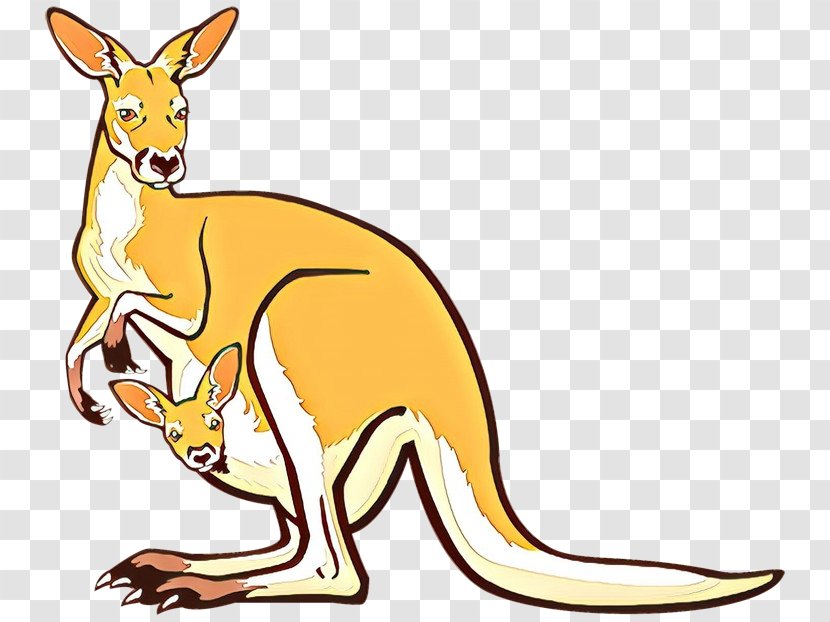 Clip Art Openclipart Free Content Drawing Macropods - Wallaby - Vertebrate Transparent PNG