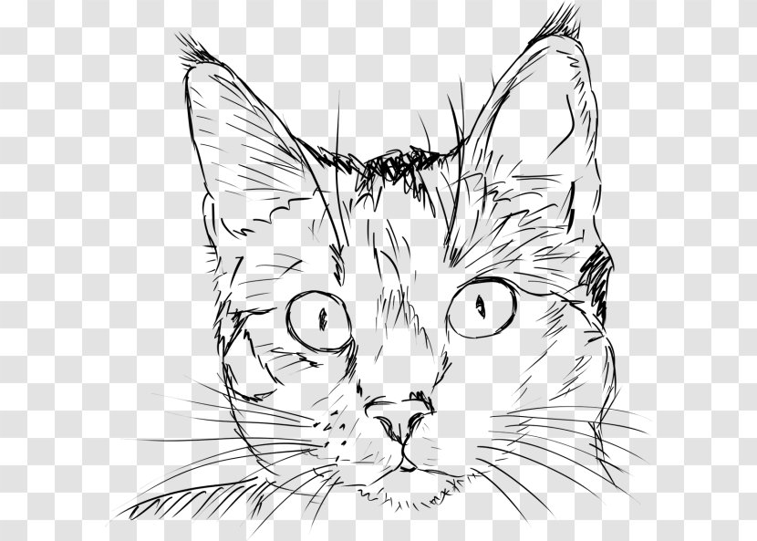 Cat Drawing Sketch Line Art Kitten - Oriental Longhair - Cute Getdrawings Transparent PNG