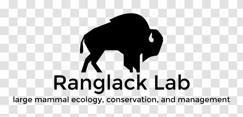 Nachusa Grasslands Plains Bison Herd Prairie - Black And White Transparent PNG