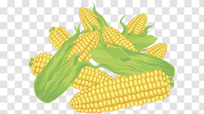 Corn On The Cob Maize Sweet - Cereal - Food Transparent PNG