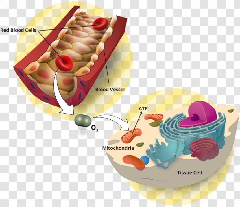 Oxygen Therapy Pharmaceutical Drug - Design Transparent PNG